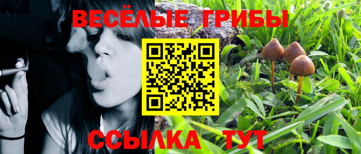 Добрянка  Псилоцибиновые грибы ЛСД  Вход с VPN 