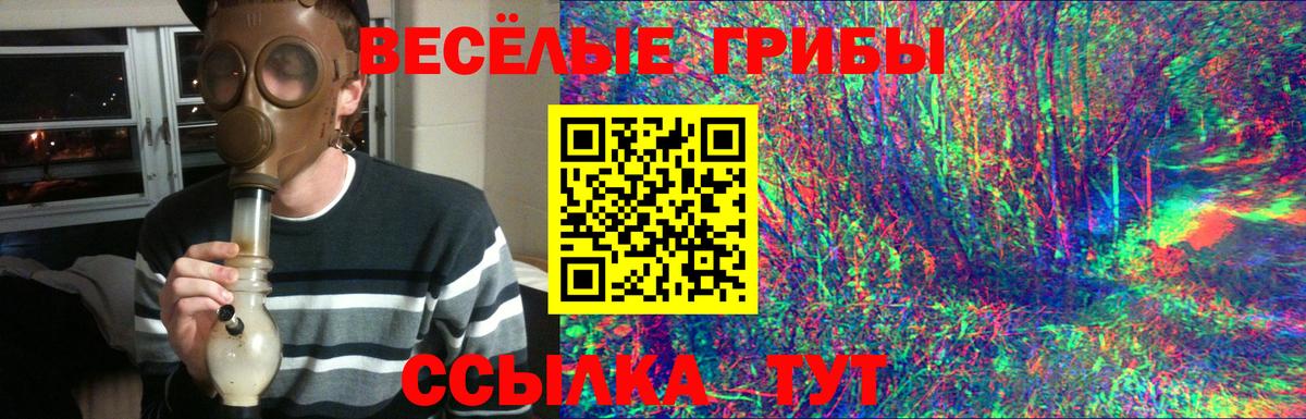 Псилоцибиновые грибы Cubensis Добрянка